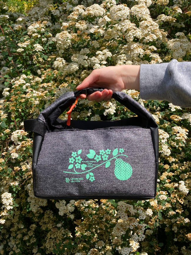 Collection Pause-déjeuner