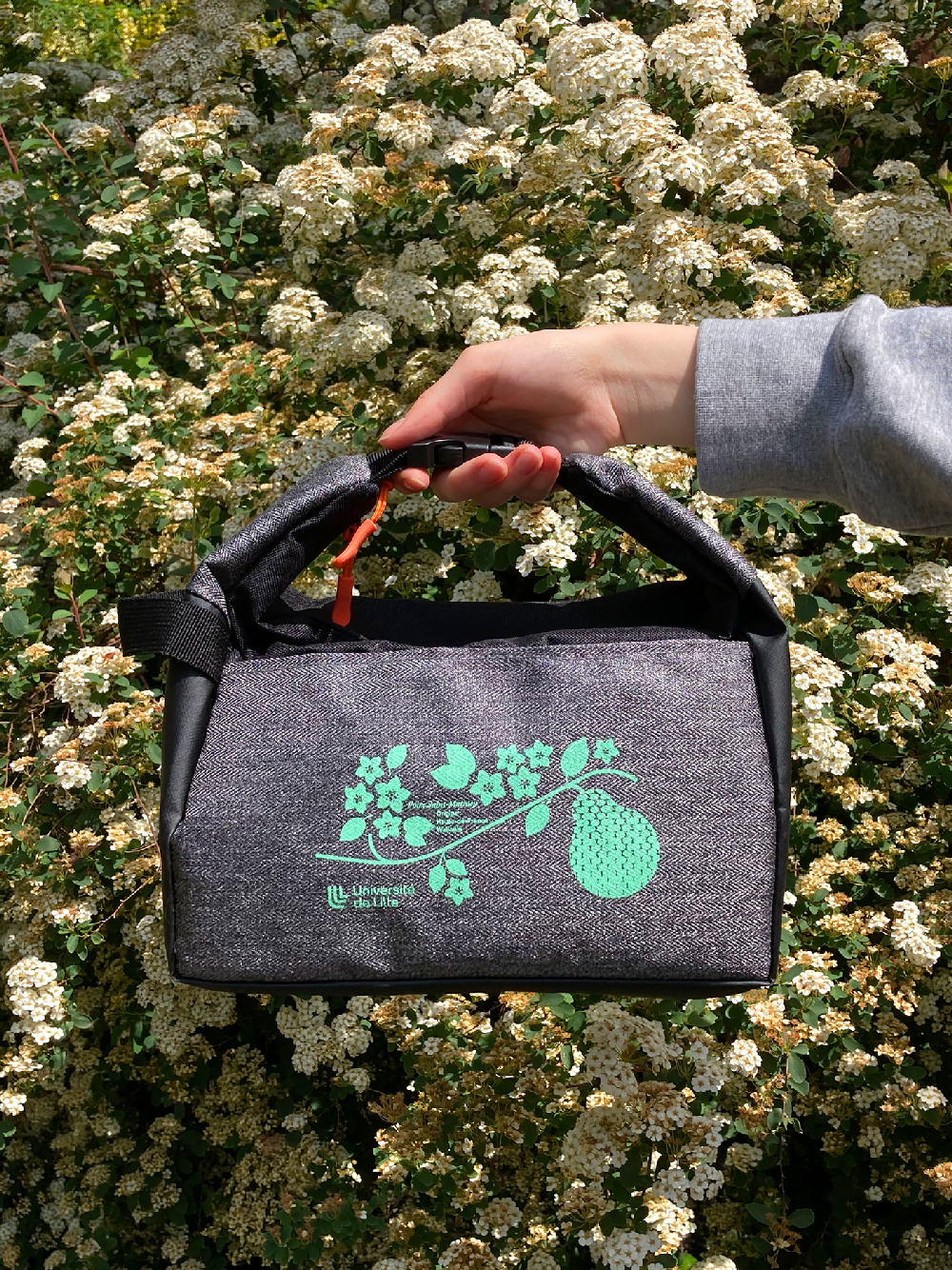 Collection Pause-déjeuner